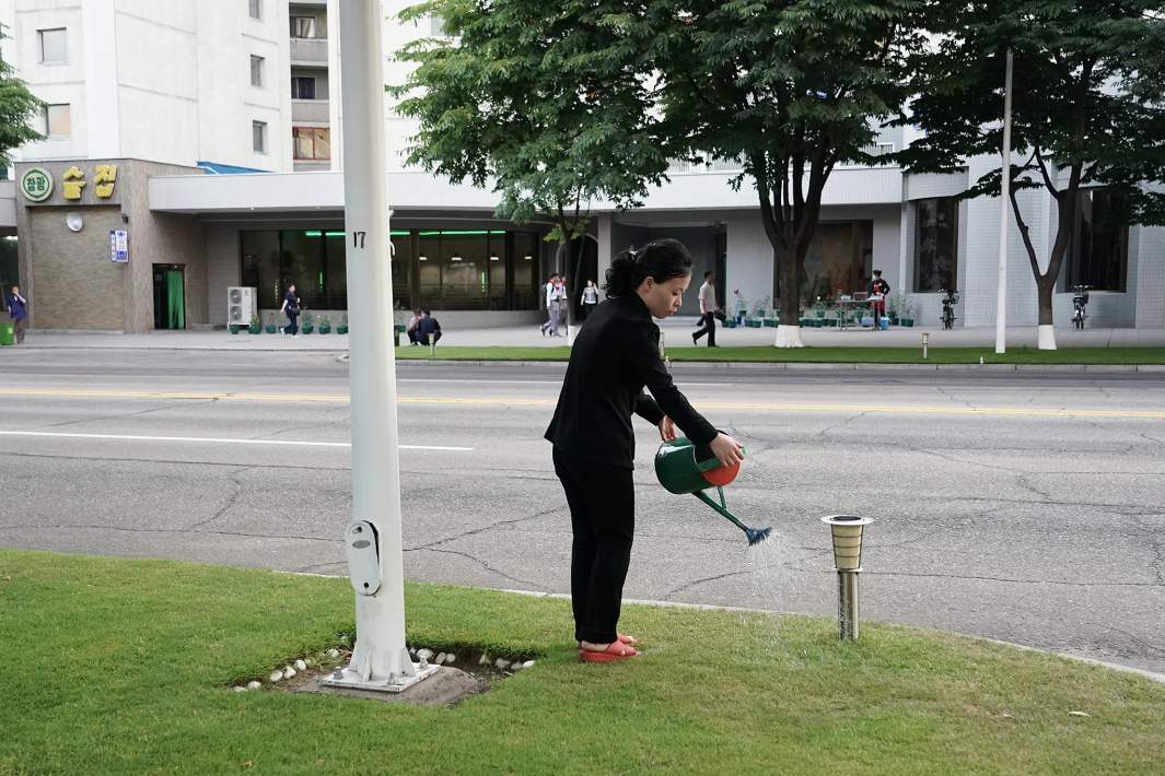 чистые улицы КНДР девушка поливает газон