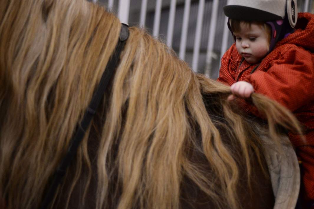 ребенок и лошадь