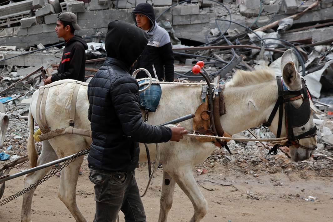 Сектор Газа