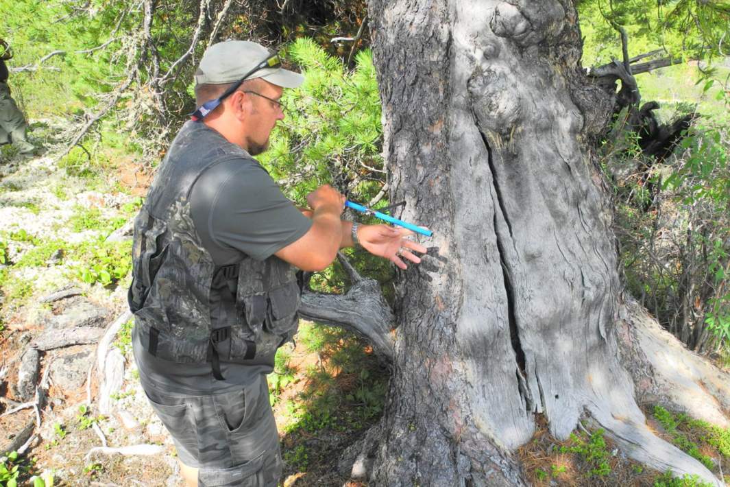 Исследования 