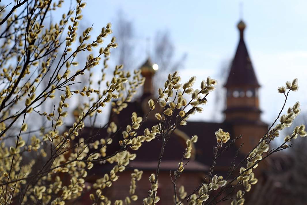 вербное воскресенье 