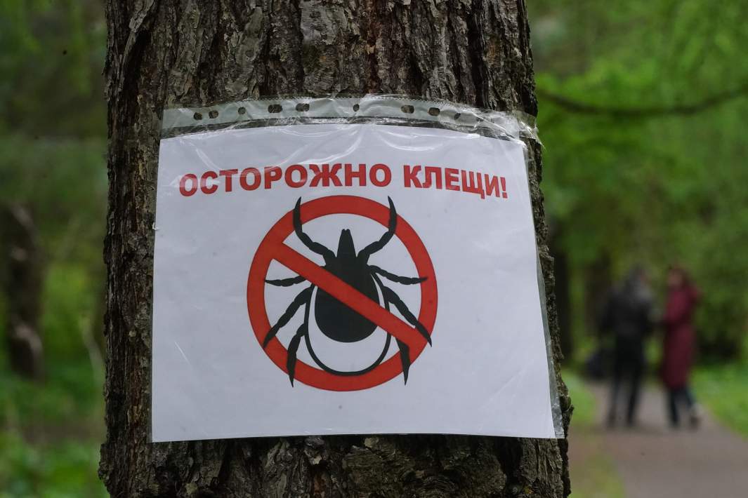 клещи