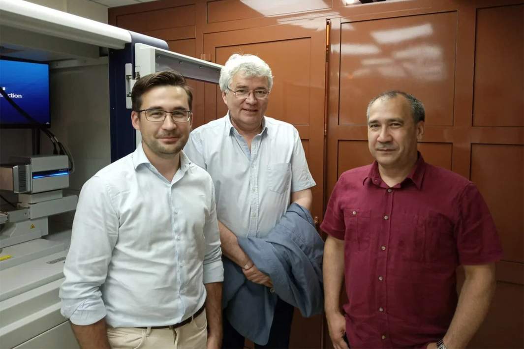 Авторы