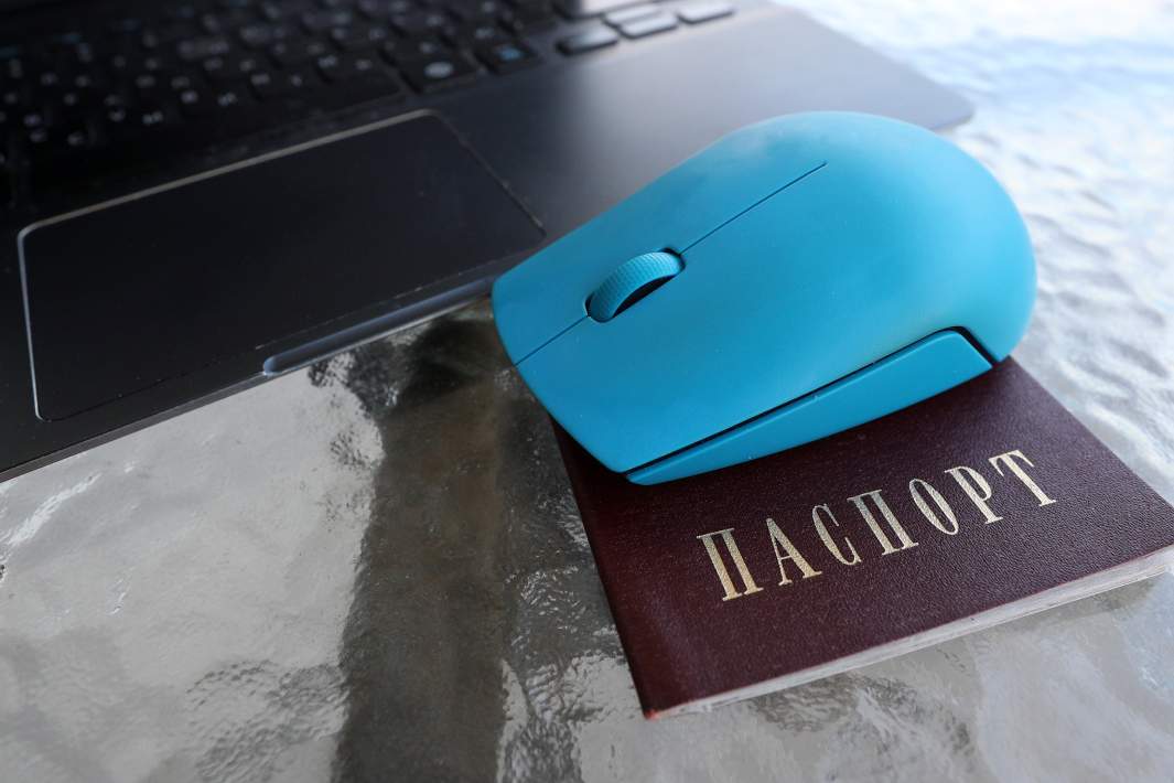 паспорт и мышка