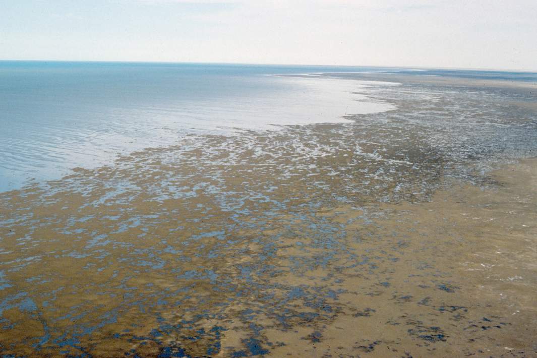 Аральское море