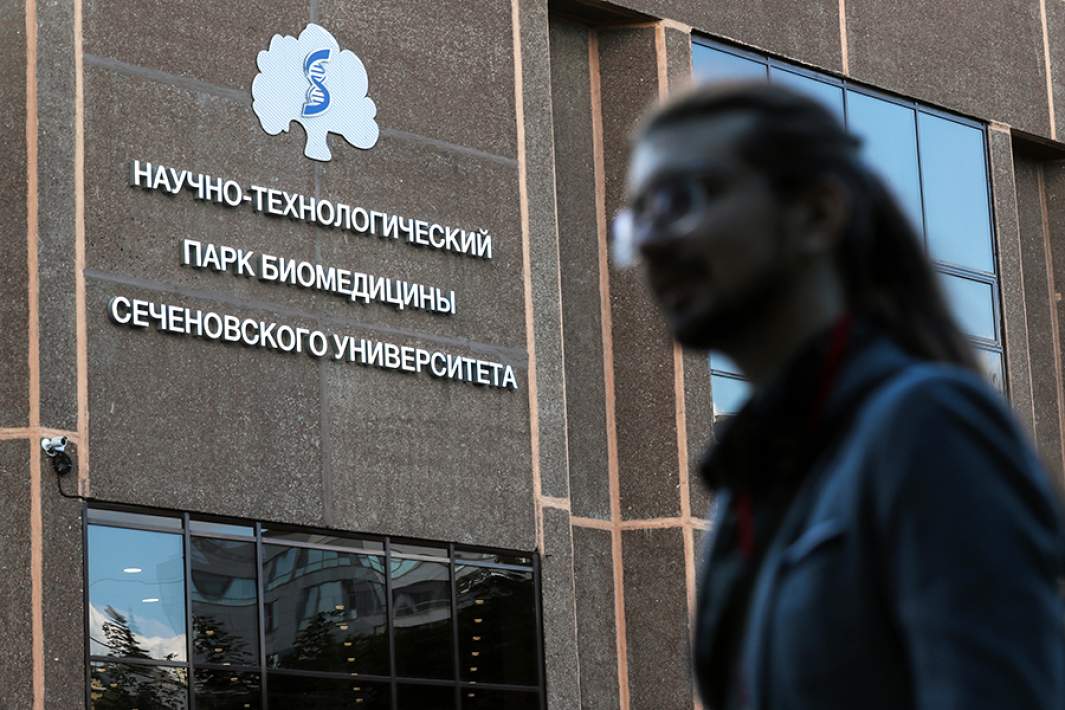 Чат-бот для снятия стресса у студентов