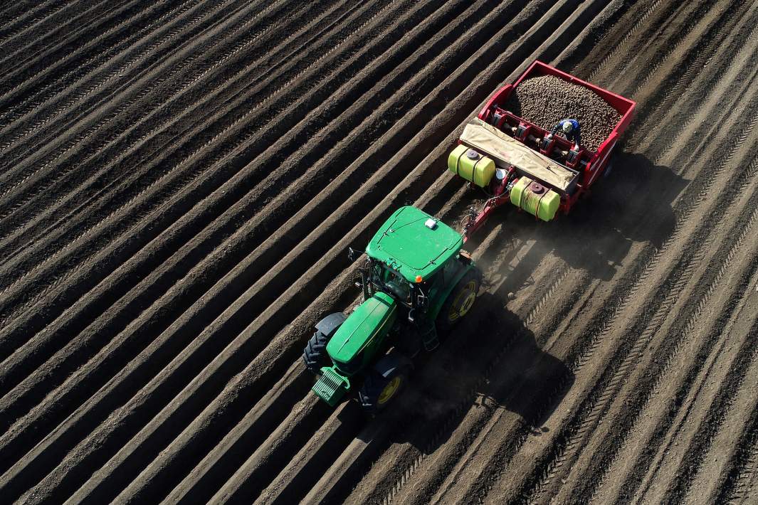 сельское хозяйство