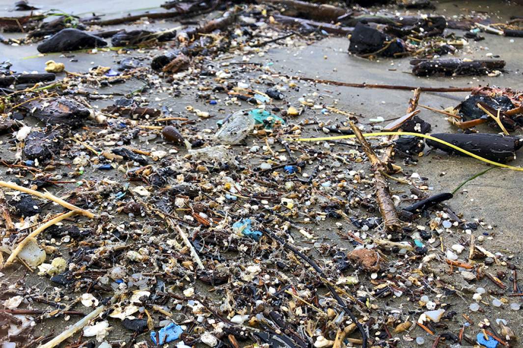 Пластиковый мусор на берегу