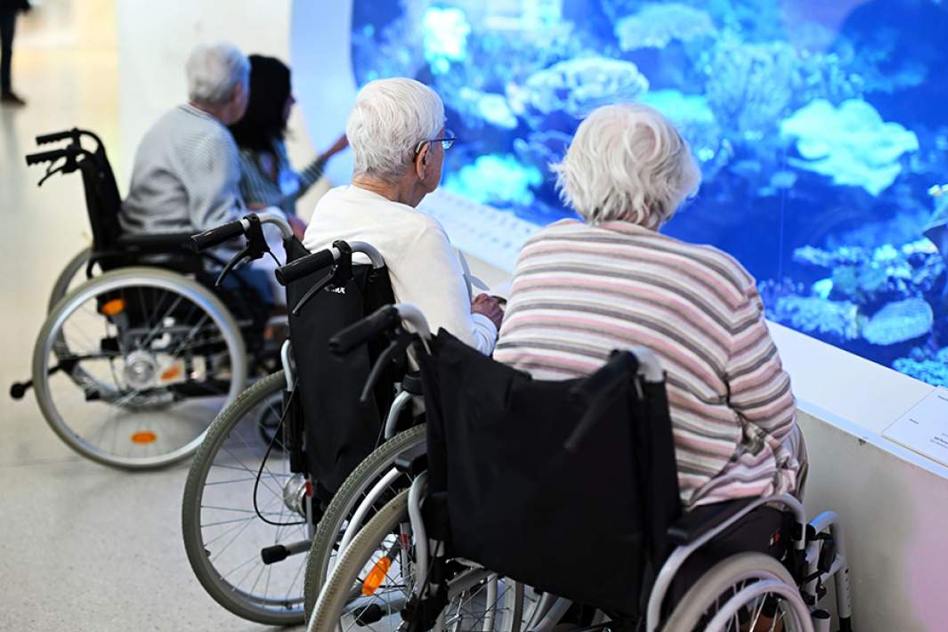 пожилые люди 