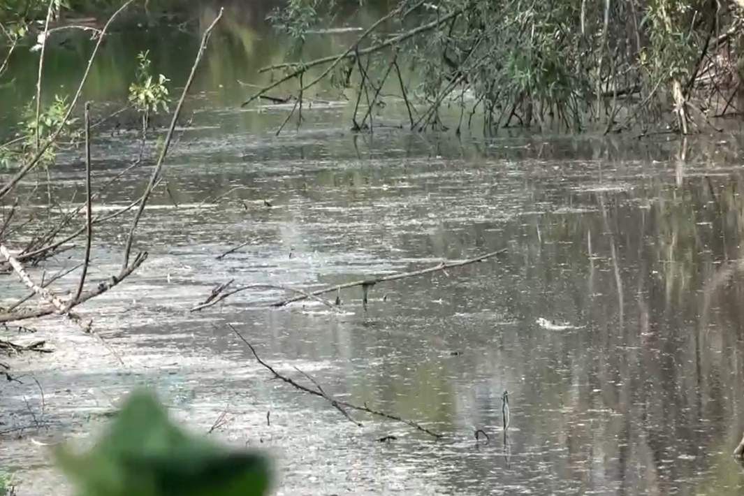 водоем