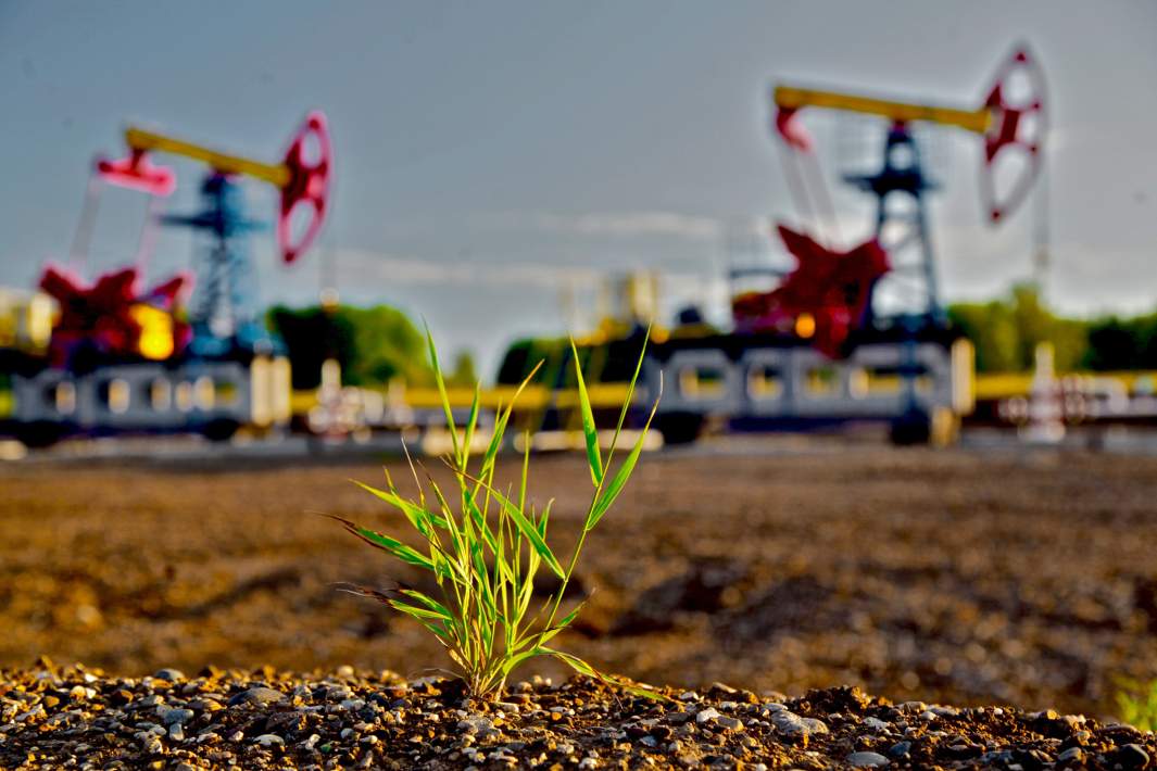 Нефть