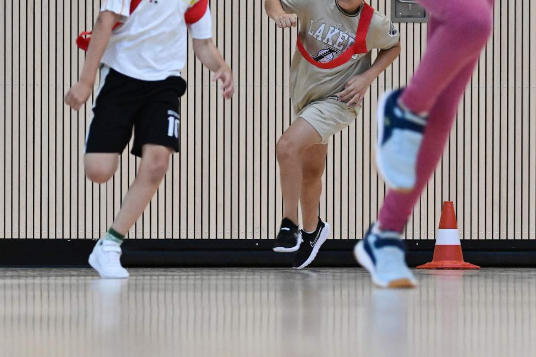 образование