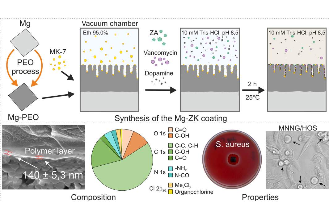 Синтез, состав и антибактериальные свойства предложенного покрытия
