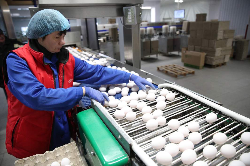 птицефабрика