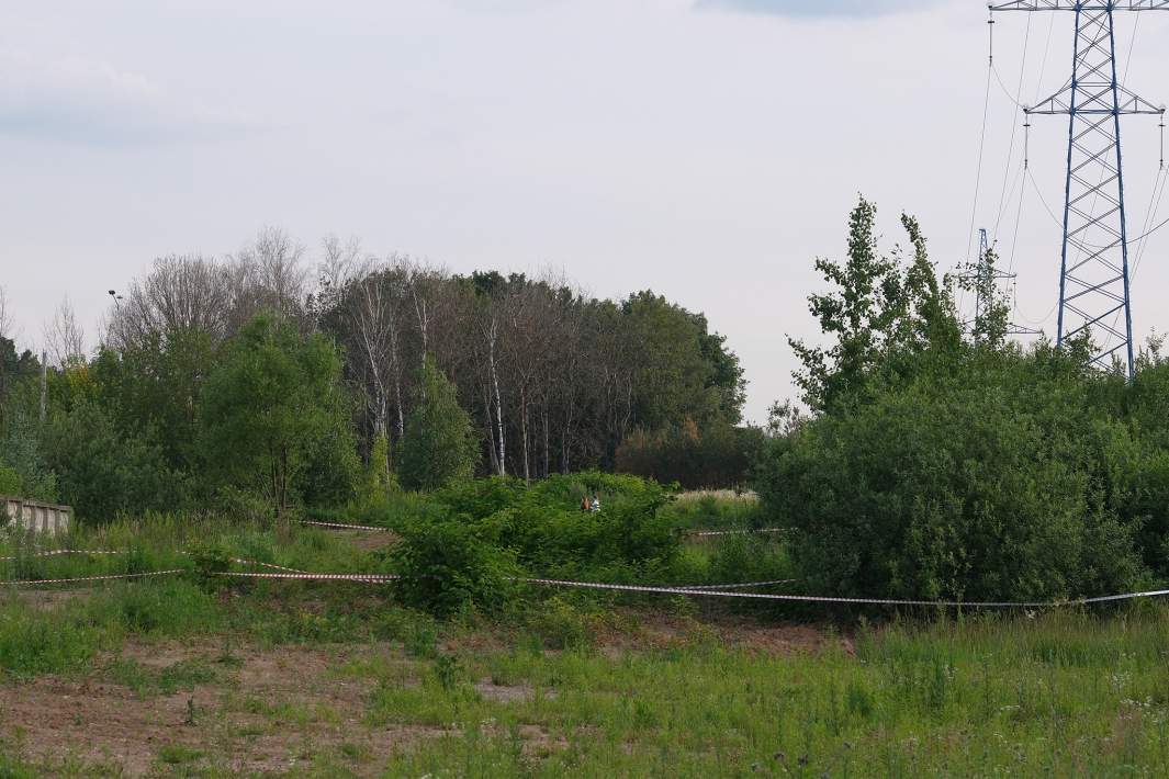 Место обнаружения 