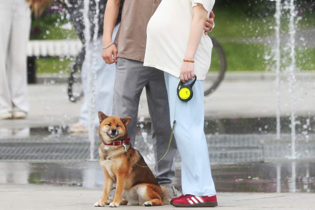 беременная 