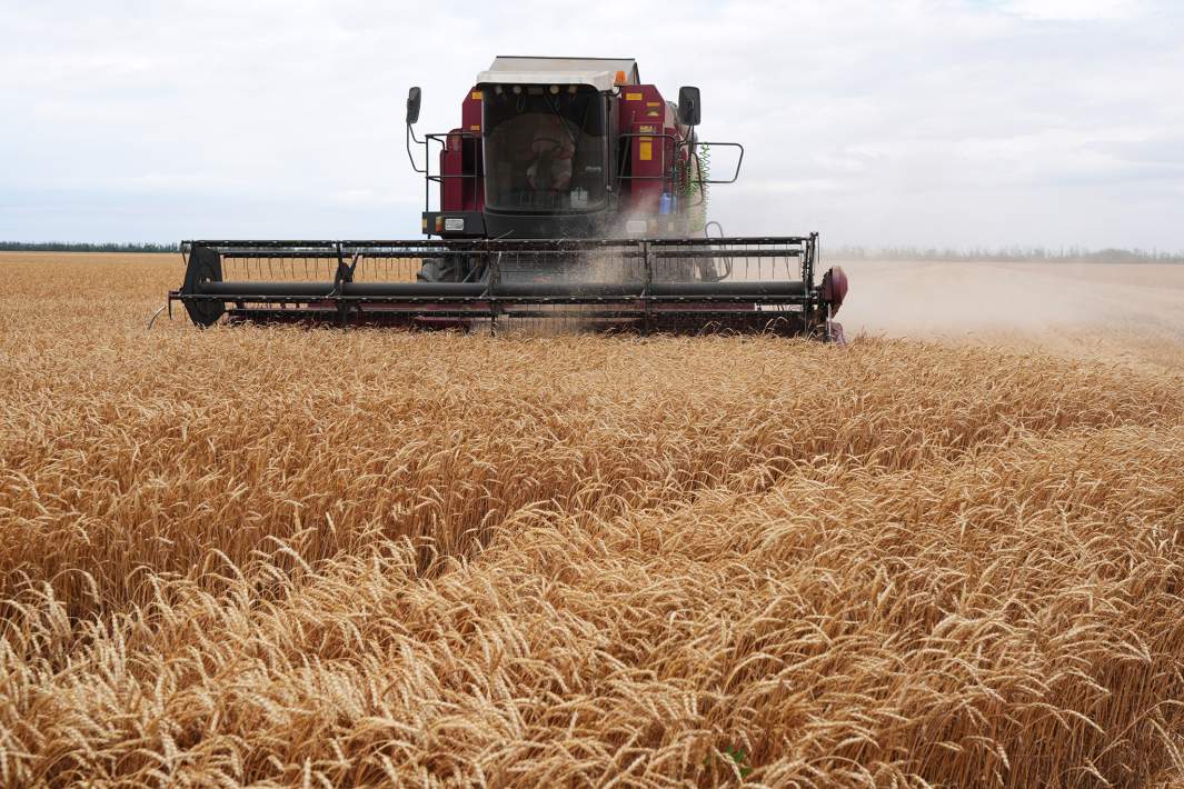 Сбор урожая 