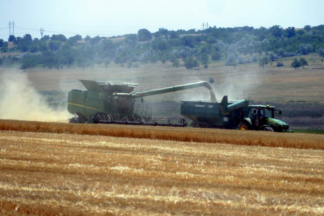 уборка урожая одесса