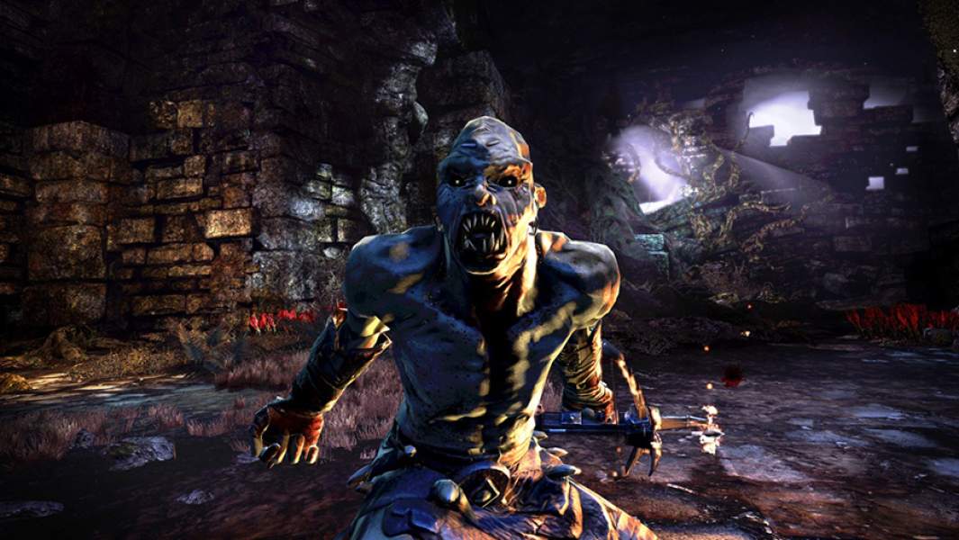 Скриншот из игры Hunted: The Demon's Forge