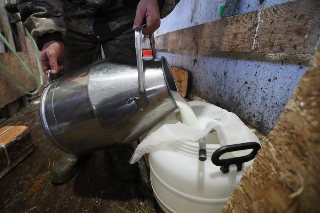 Молоко переливают в тару 