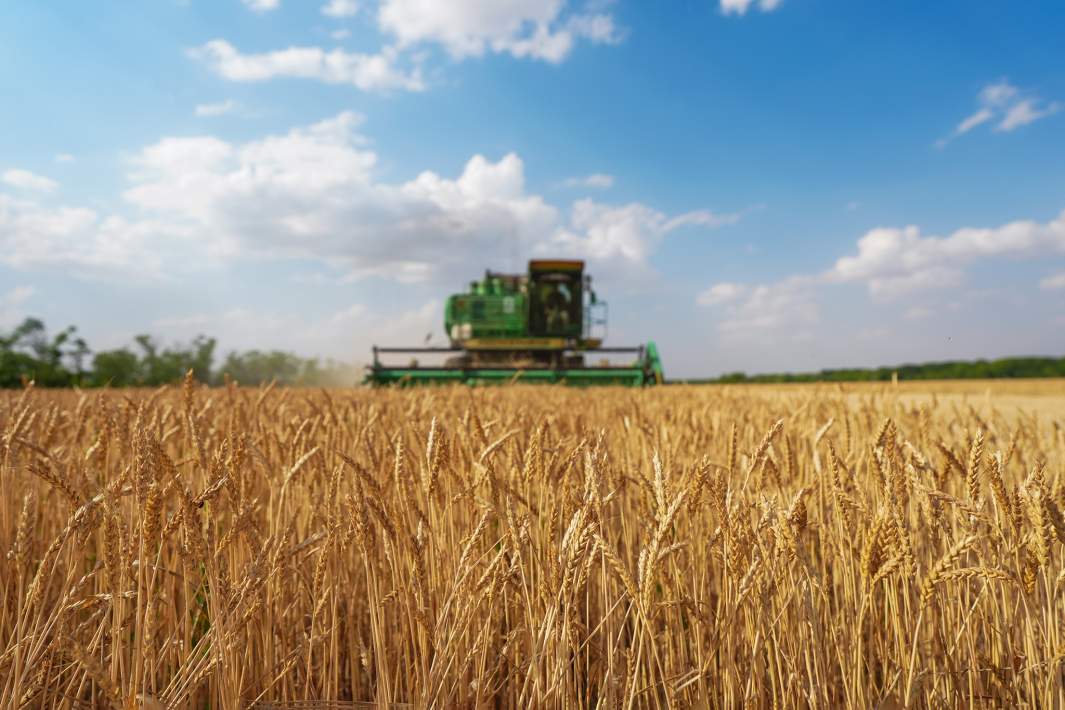 сельское хозяйство