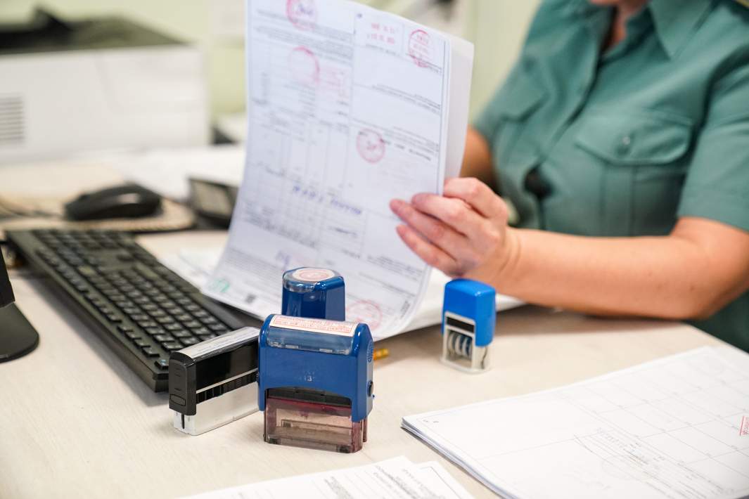 Таможенник