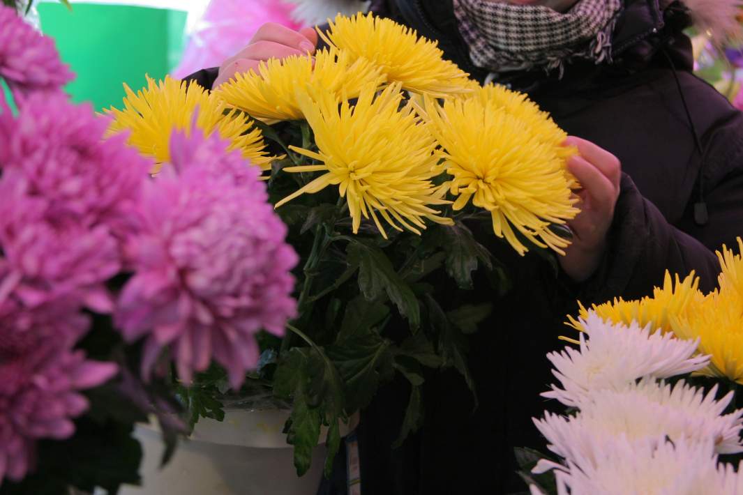 Букет хризантем