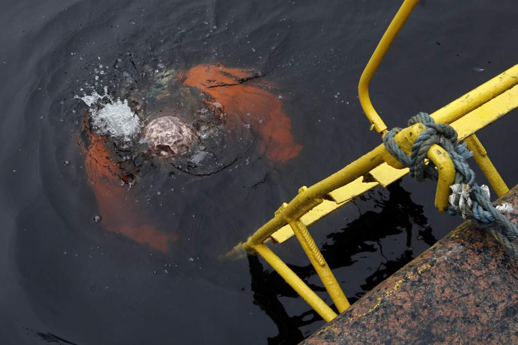 Гидрокостюм