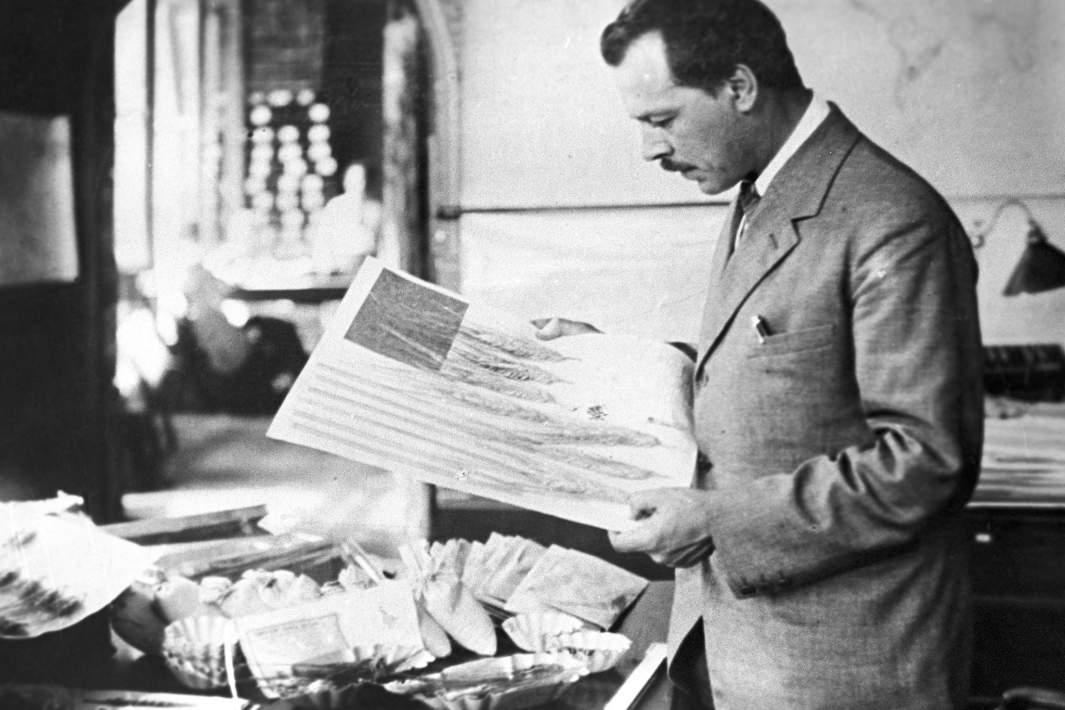 Ученый-биолог и путешественник Николай Вавилов