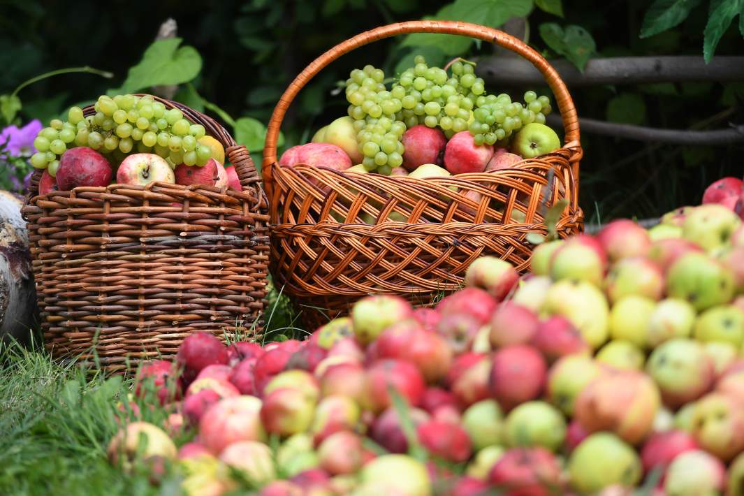 Освященные фрукты