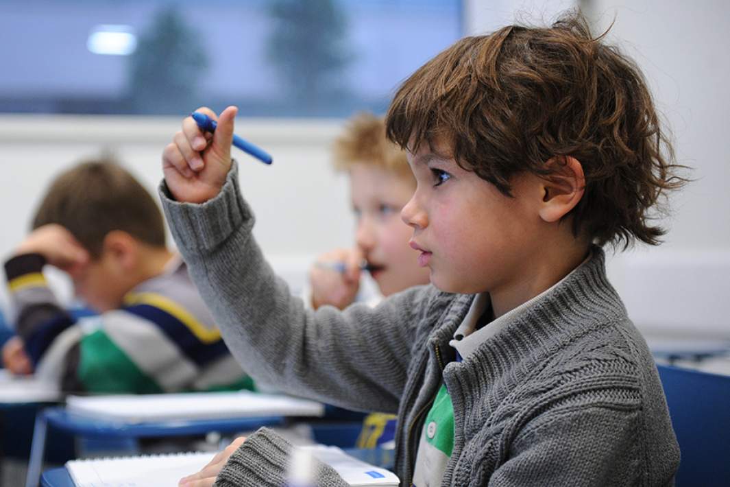 Дополнительное образование