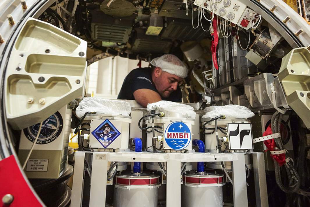 Закладка в спускаемый аппарат контейнеров с мышами и другими биологическими объектами исследований