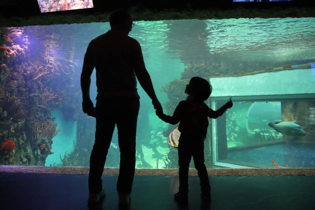 Океанариум