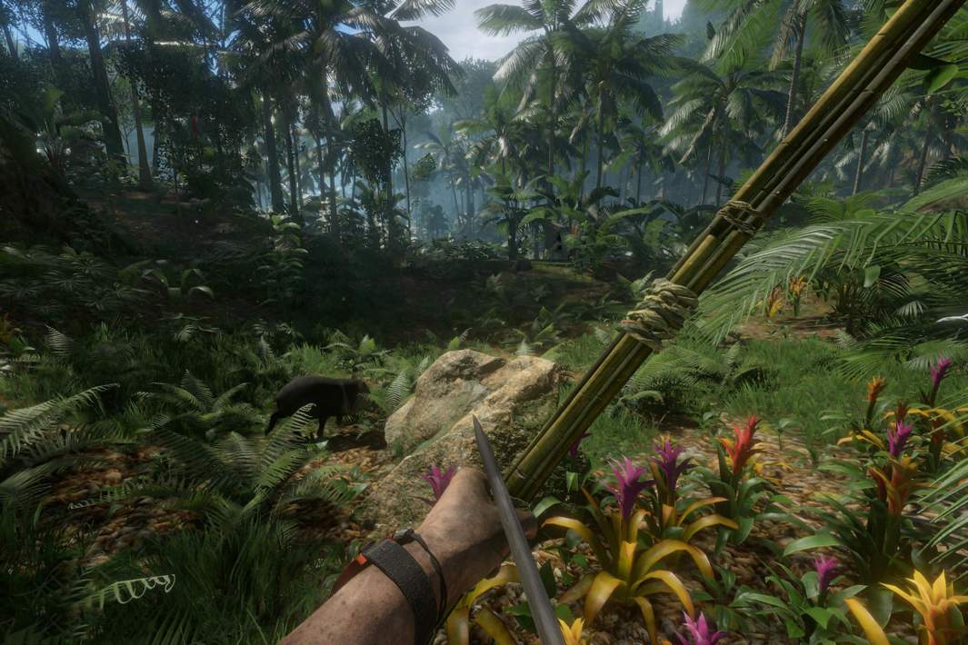 Кадр из игры Green Hell