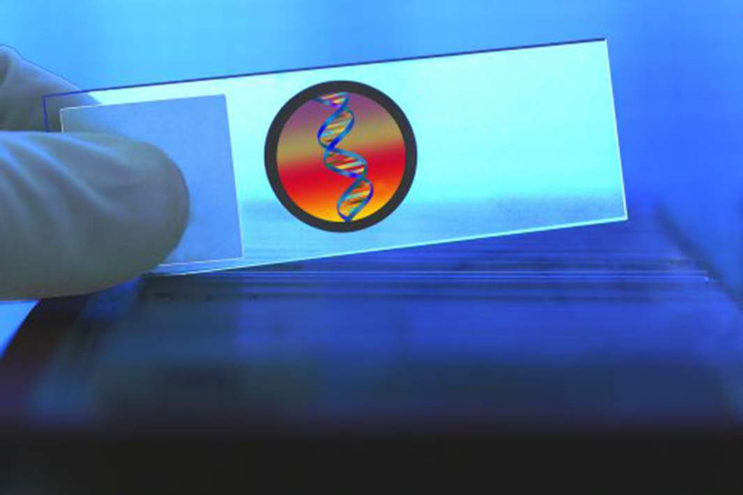 генетический код