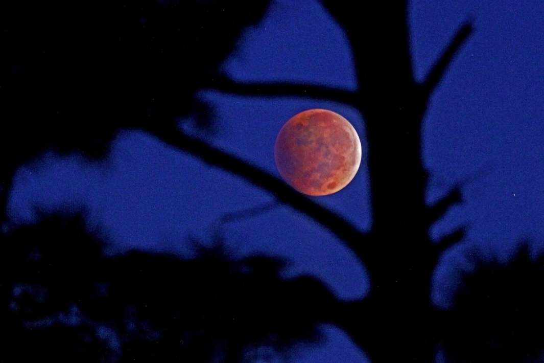 Кровавая луна 