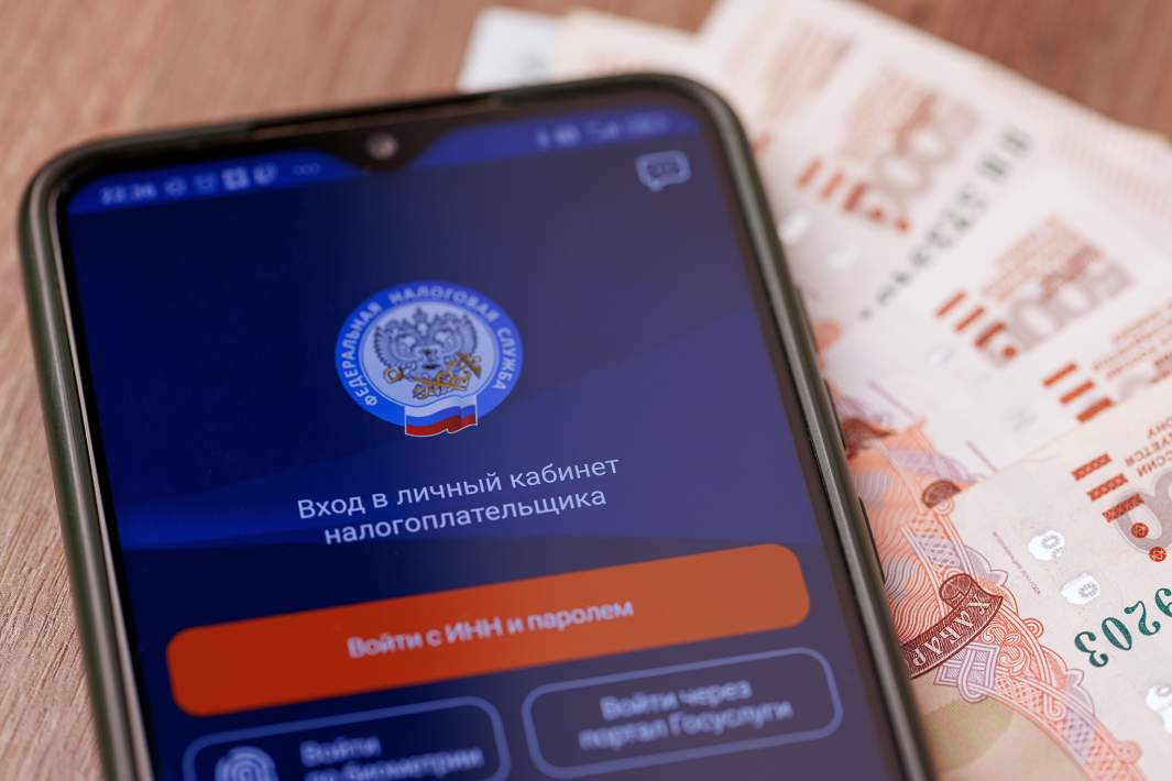 Приложение ФНС на телефоне 