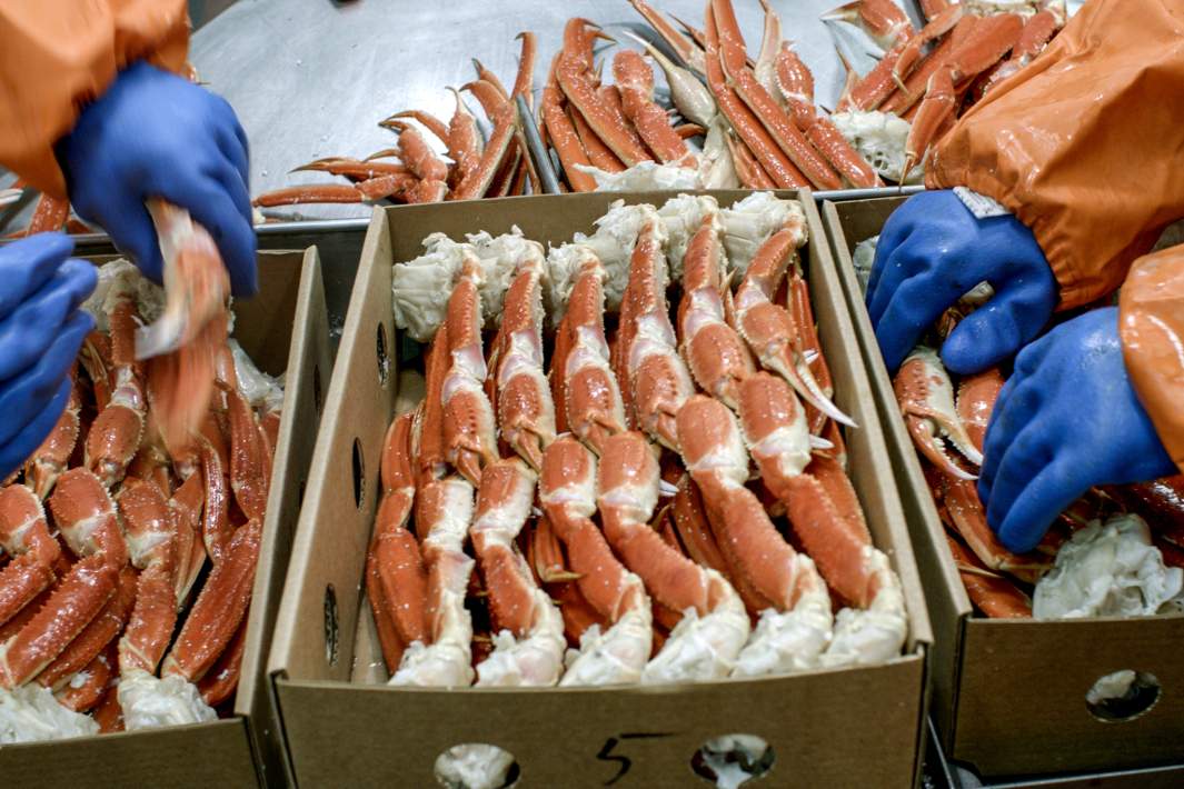 Клешни крабов 