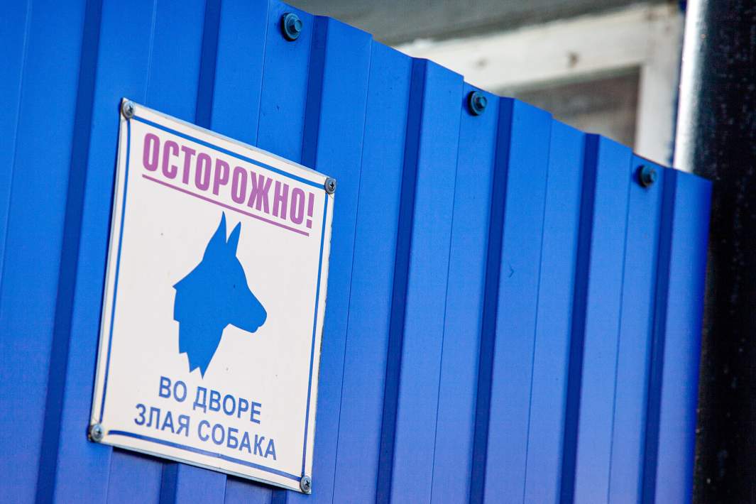 Собака злая