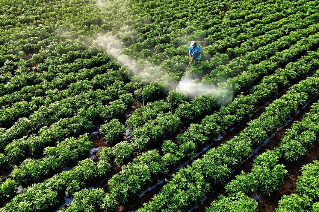 Фермер распыляет удобрения 