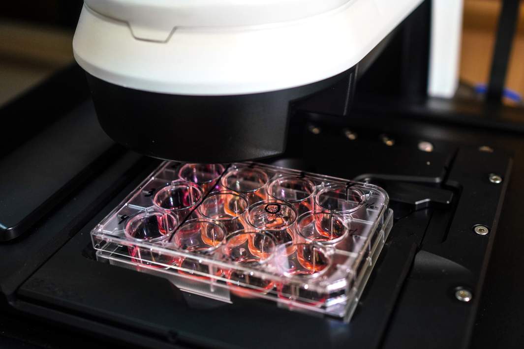 Вакцина от рака