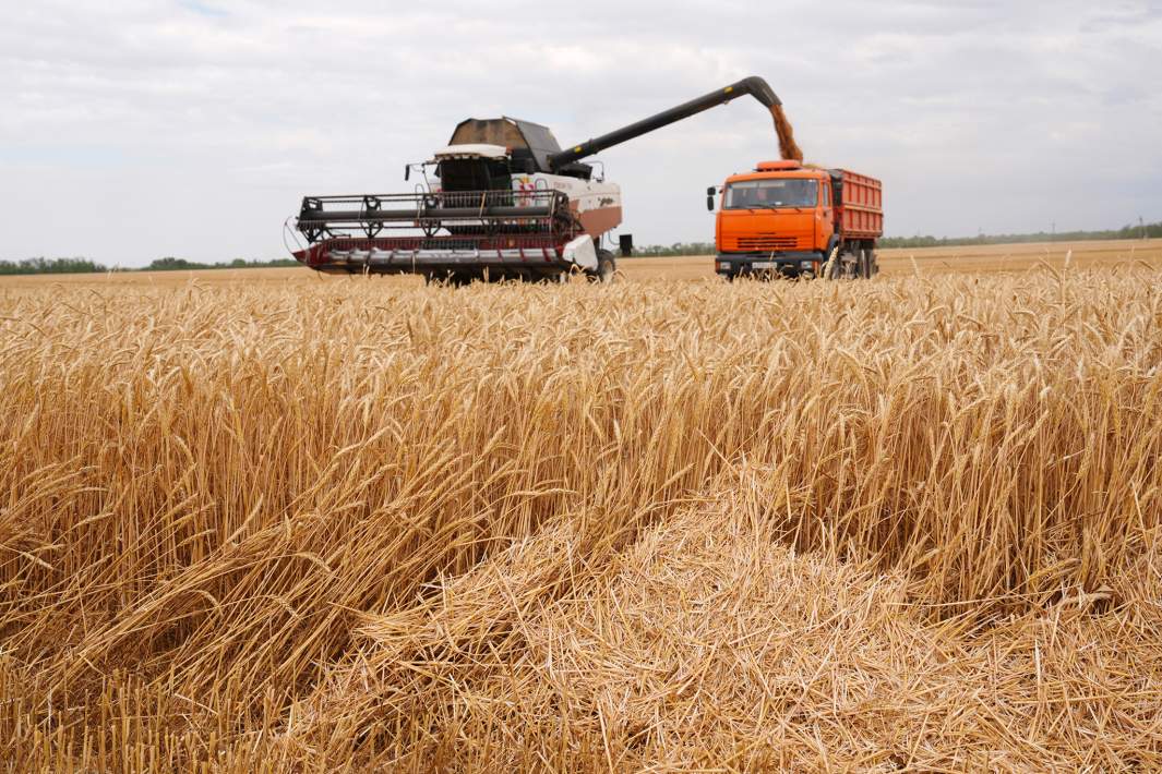 Сбор урожая 