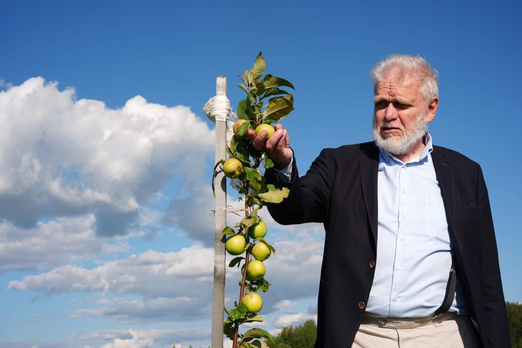 Сергей Самыгин