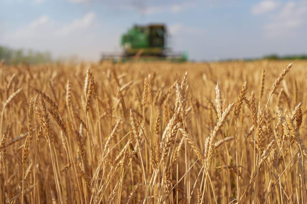 сельское хозяйство