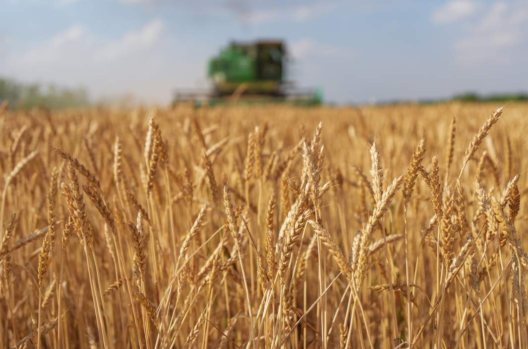 Сельское хозяйство