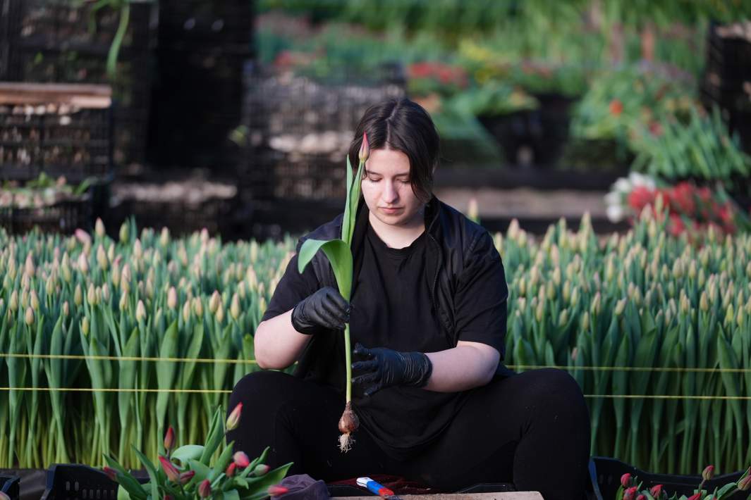 агрокомплекс