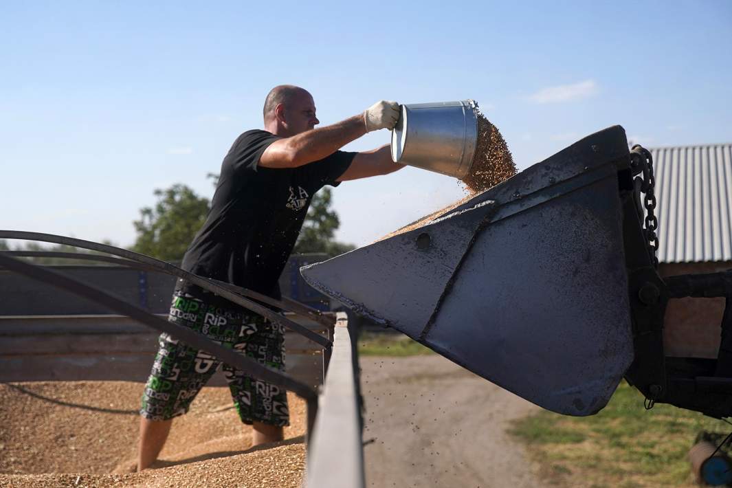 Сельское хозяйство