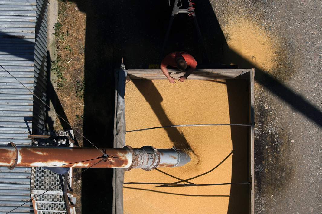 Сельское хозяйство