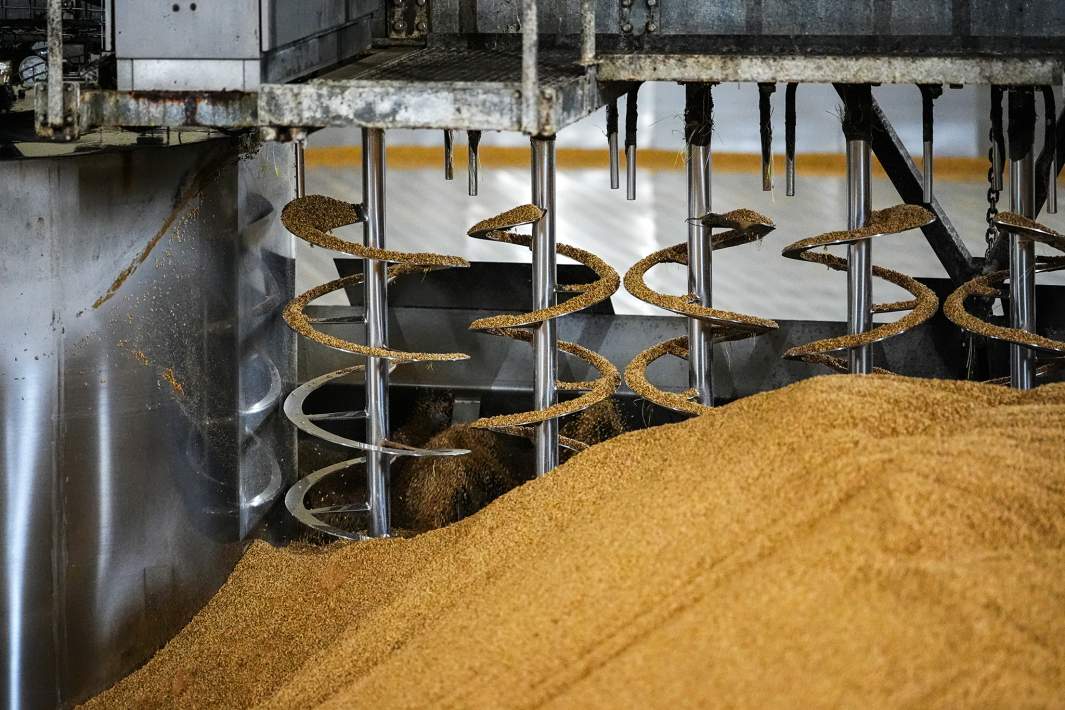 Производство пива 