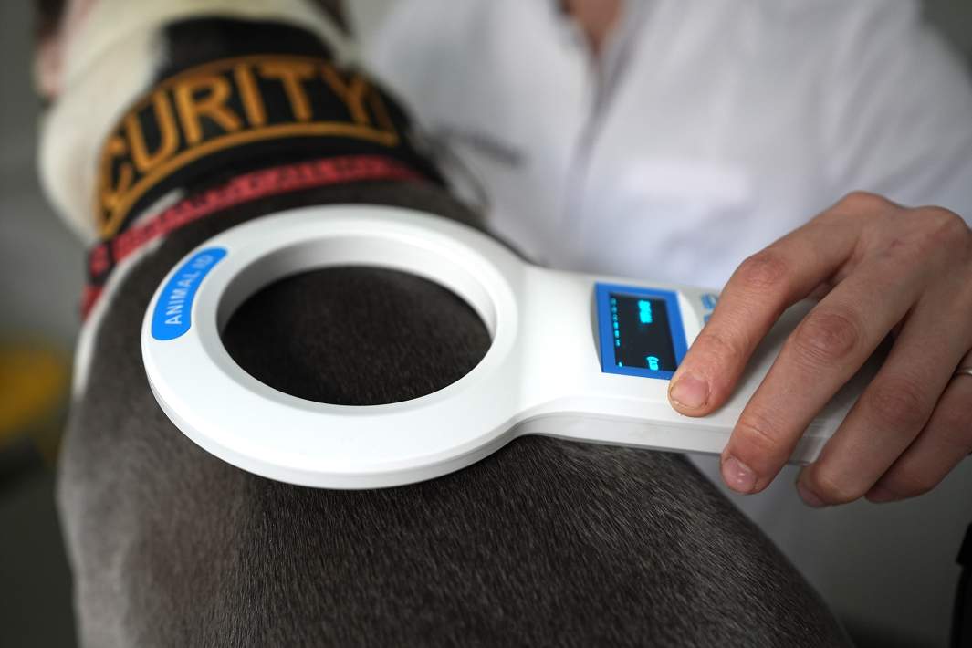 Чипирование